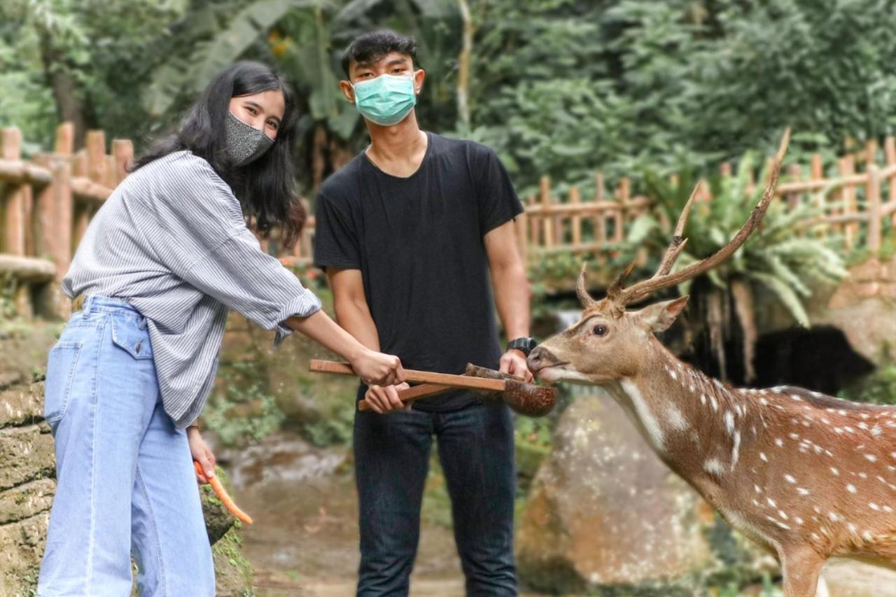 Taman Safari alojamiento Puncak Exterior foto